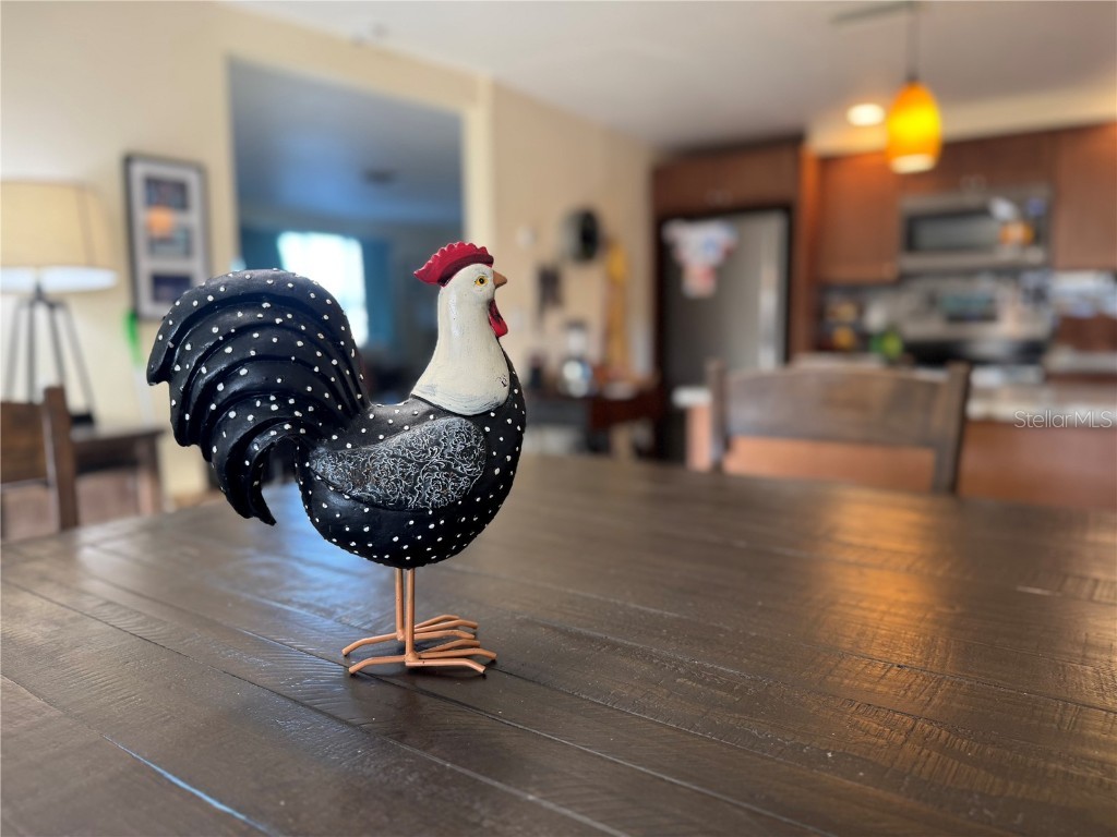 4940 Picture Avenue Holiday FL 34690 TB8442227 image20