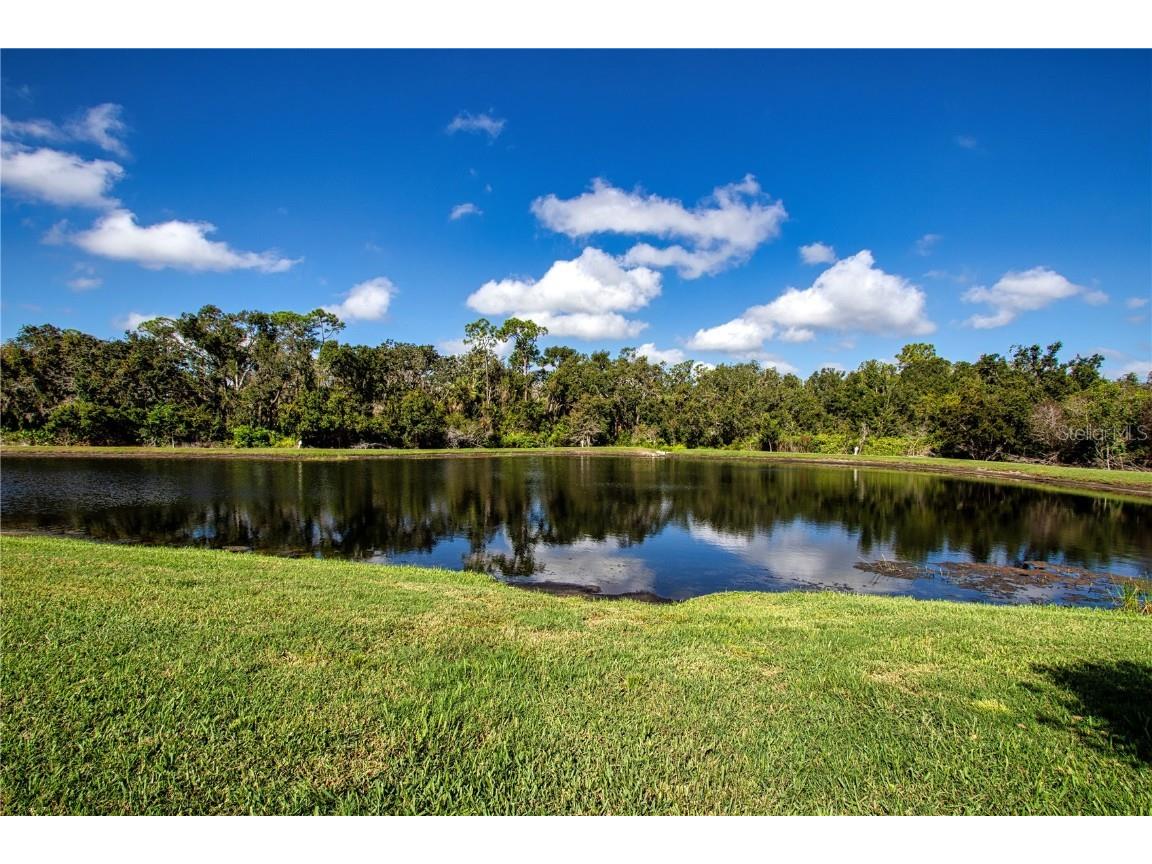 4940 Tobermory Way Bradenton FL 34211 - POND A4668192 image57