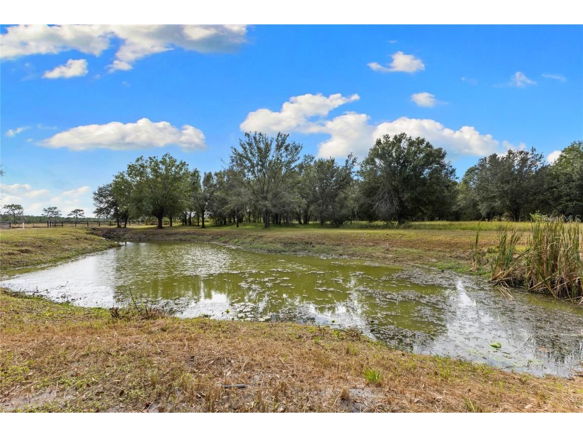 4940 Wauchula Road Myakka City FL 34251 A4673923 image62