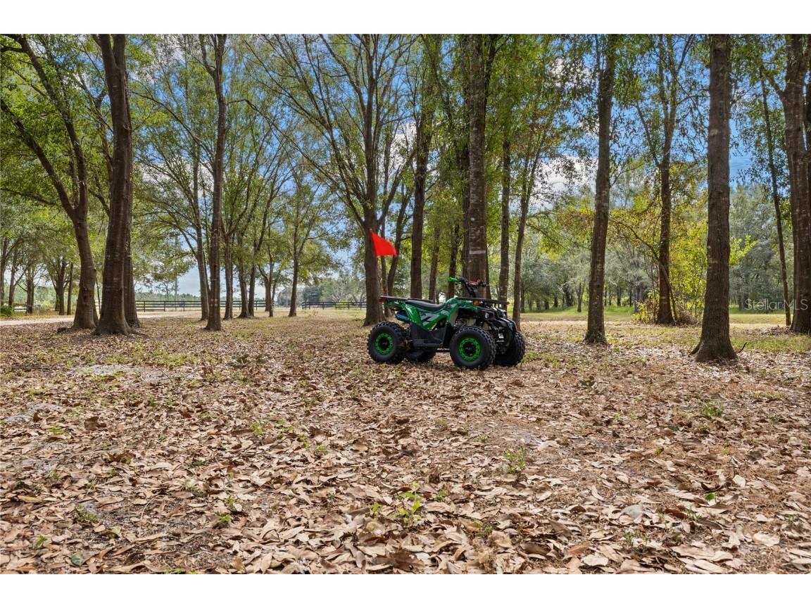 4940 Wauchula Road Myakka City FL 34251 A4673923 image66