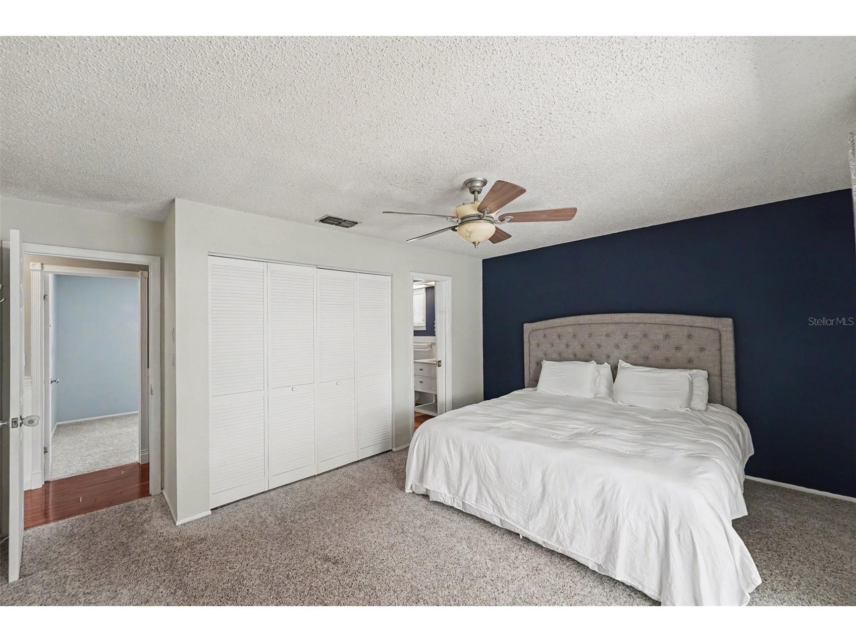 4941 Cardinal Trail Palm Harbor FL 34683 TB8516860 image13