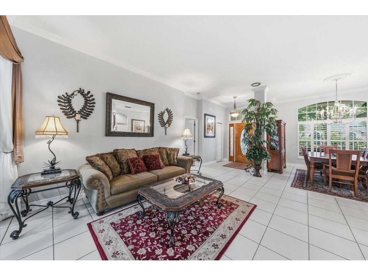 4941 Felecity Way Palm Harbor FL 34685 TB8514728 image11