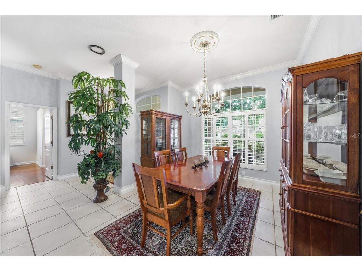 4941 Felecity Way Palm Harbor FL 34685 TB8514728 image12