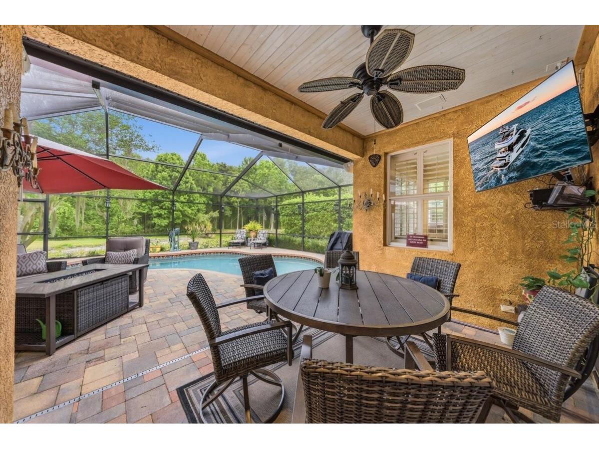 4941 Felecity Way Palm Harbor FL 34685 TB8514728 image17