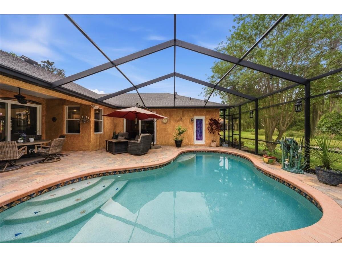 4941 Felecity Way Palm Harbor FL 34685 TB8514728 image18