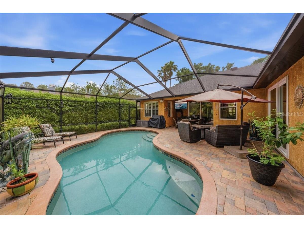 4941 Felecity Way Palm Harbor FL 34685 TB8514728 image19