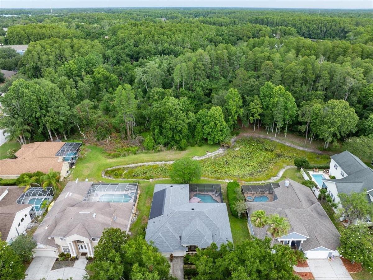4941 Felecity Way Palm Harbor FL 34685 TB8514728 image2