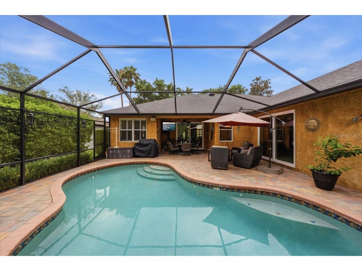4941 Felecity Way Palm Harbor FL 34685 TB8514728 image20