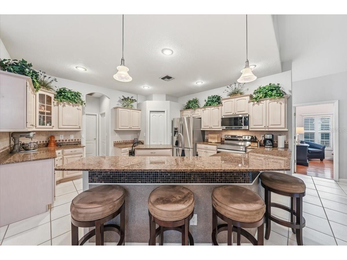 4941 Felecity Way Palm Harbor FL 34685 TB8514728 image24