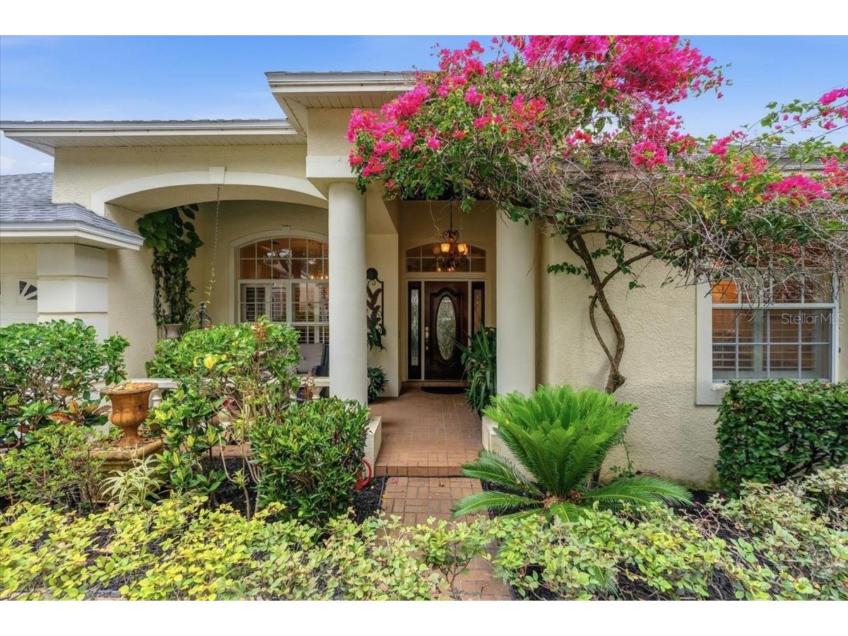 4941 Felecity Way Palm Harbor FL 34685 TB8514728 image4