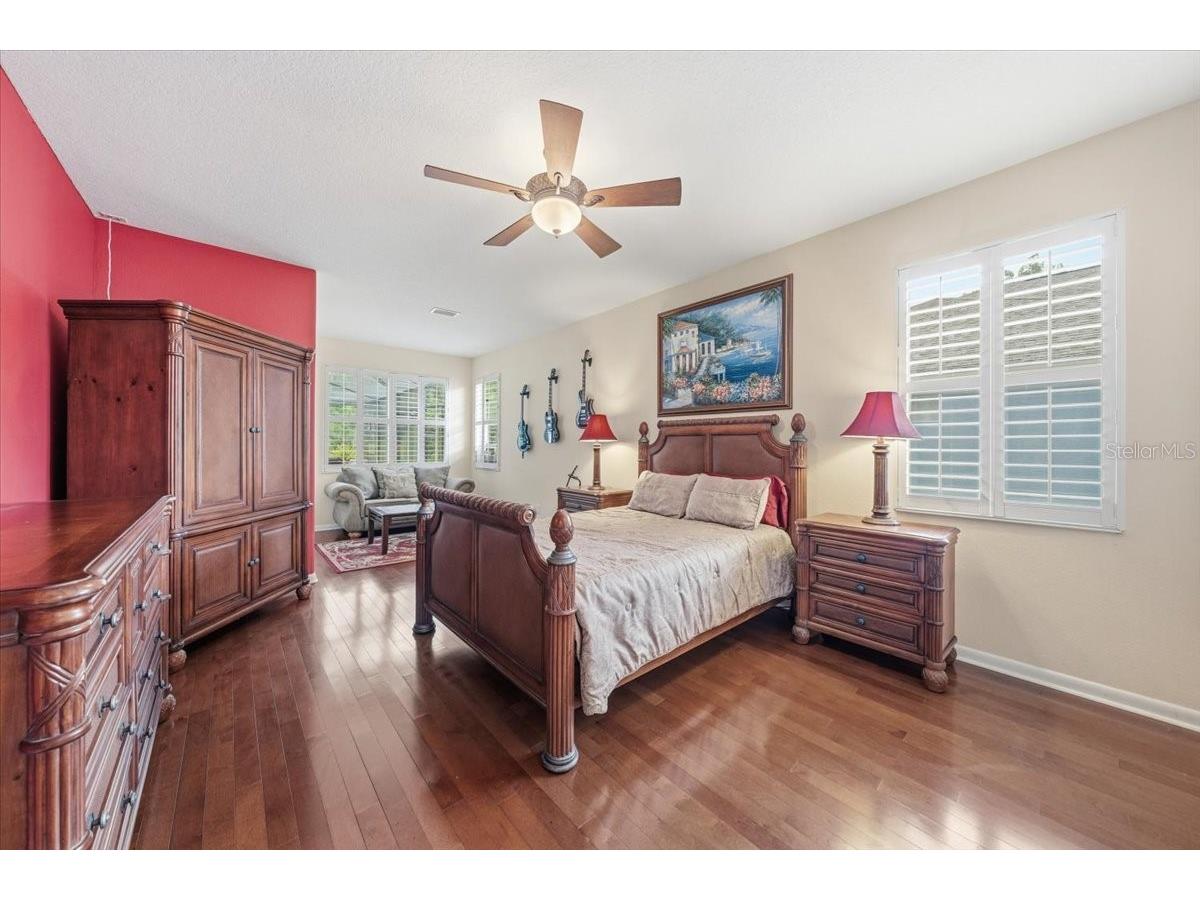 4941 Felecity Way Palm Harbor FL 34685 TB8514728 image40