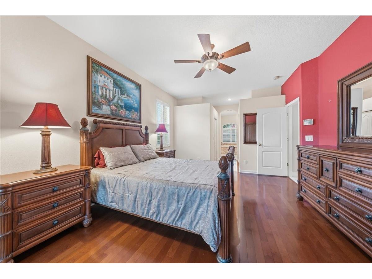 4941 Felecity Way Palm Harbor FL 34685 TB8514728 image42