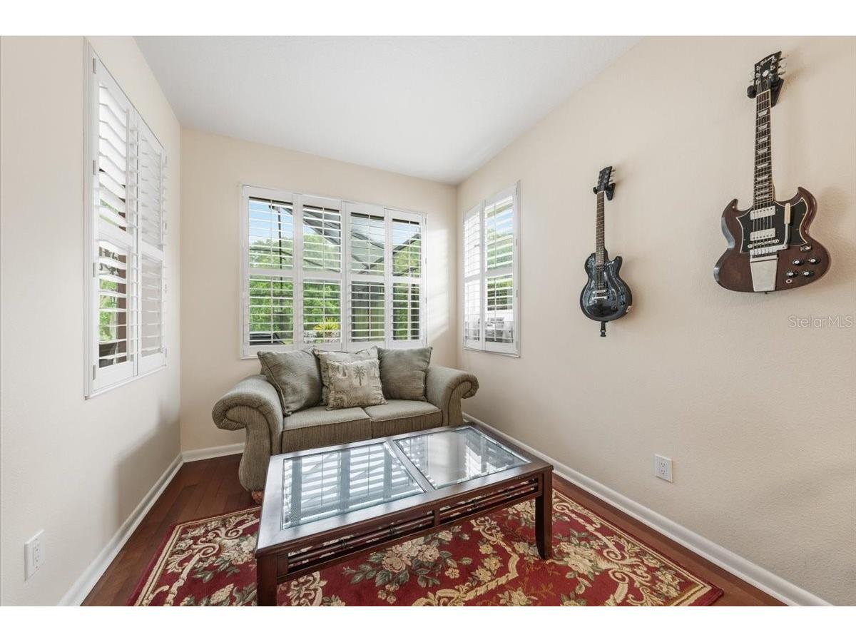 4941 Felecity Way Palm Harbor FL 34685 TB8514728 image44