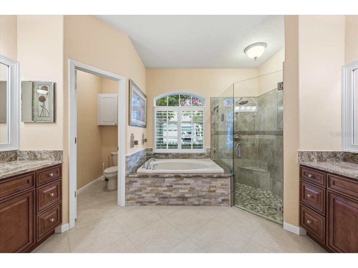 4941 Felecity Way Palm Harbor FL 34685 TB8514728 image46