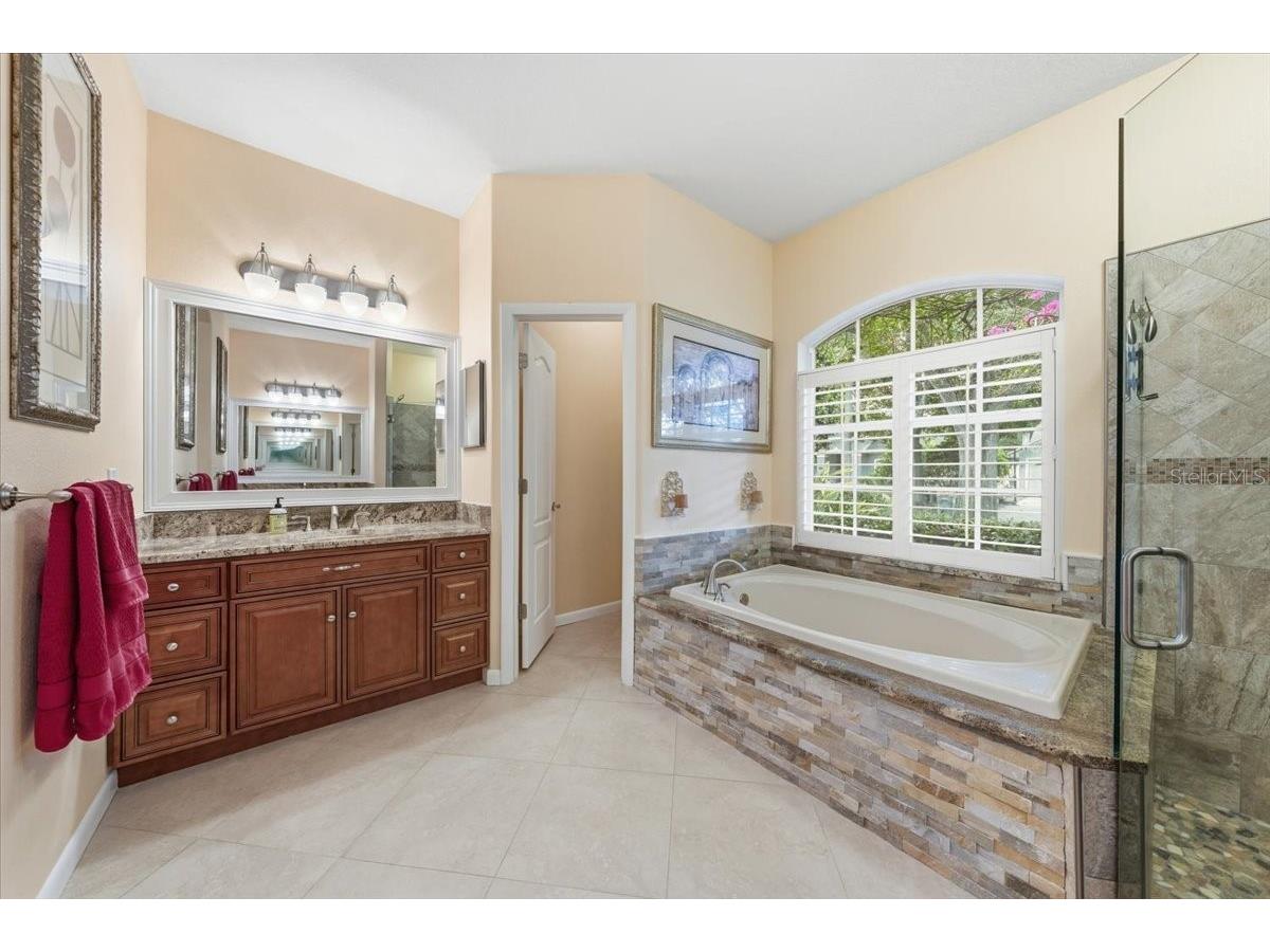4941 Felecity Way Palm Harbor FL 34685 TB8514728 image47