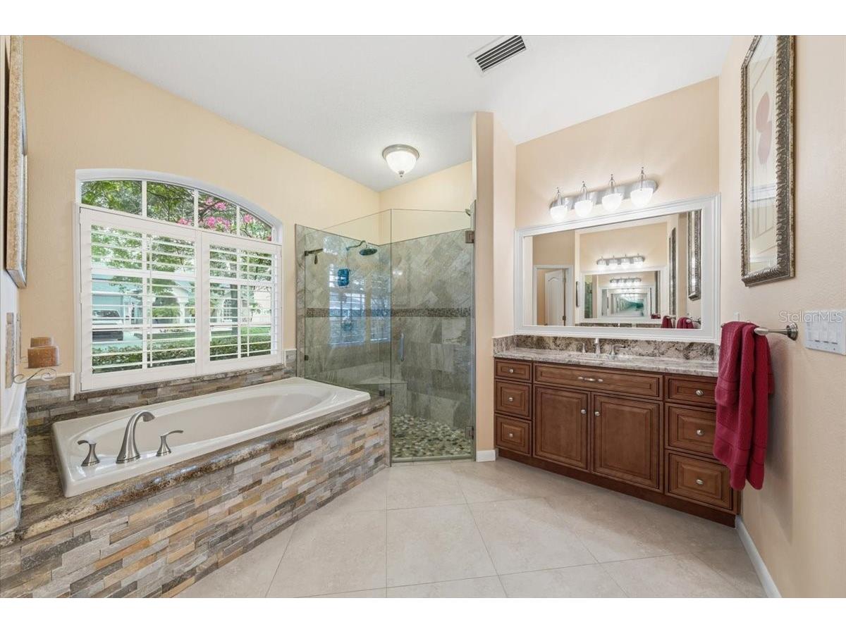 4941 Felecity Way Palm Harbor FL 34685 TB8514728 image48