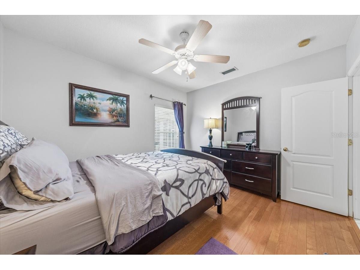 4941 Felecity Way Palm Harbor FL 34685 TB8514728 image49