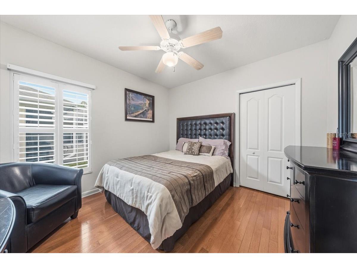 4941 Felecity Way Palm Harbor FL 34685 TB8514728 image51
