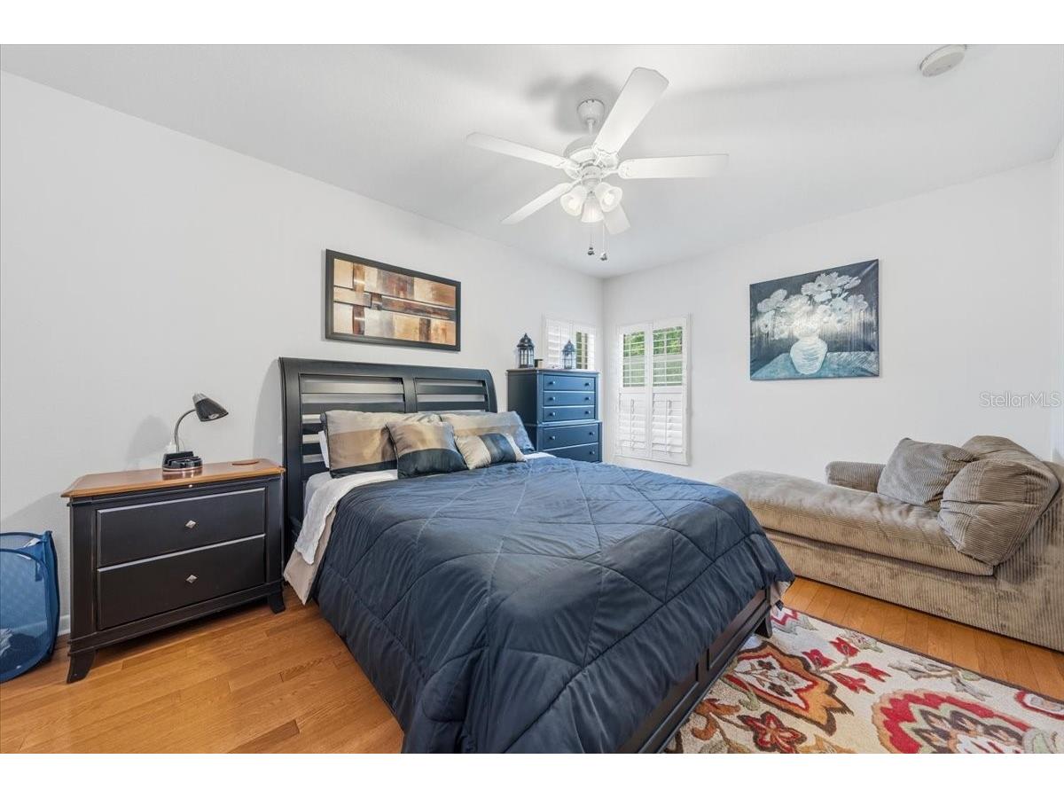 4941 Felecity Way Palm Harbor FL 34685 TB8514728 image54