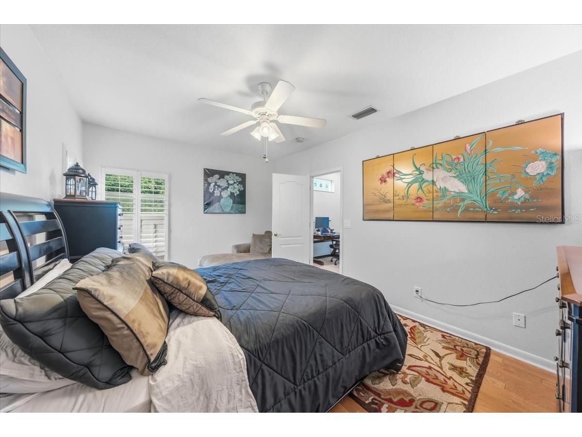 4941 Felecity Way Palm Harbor FL 34685 TB8514728 image55