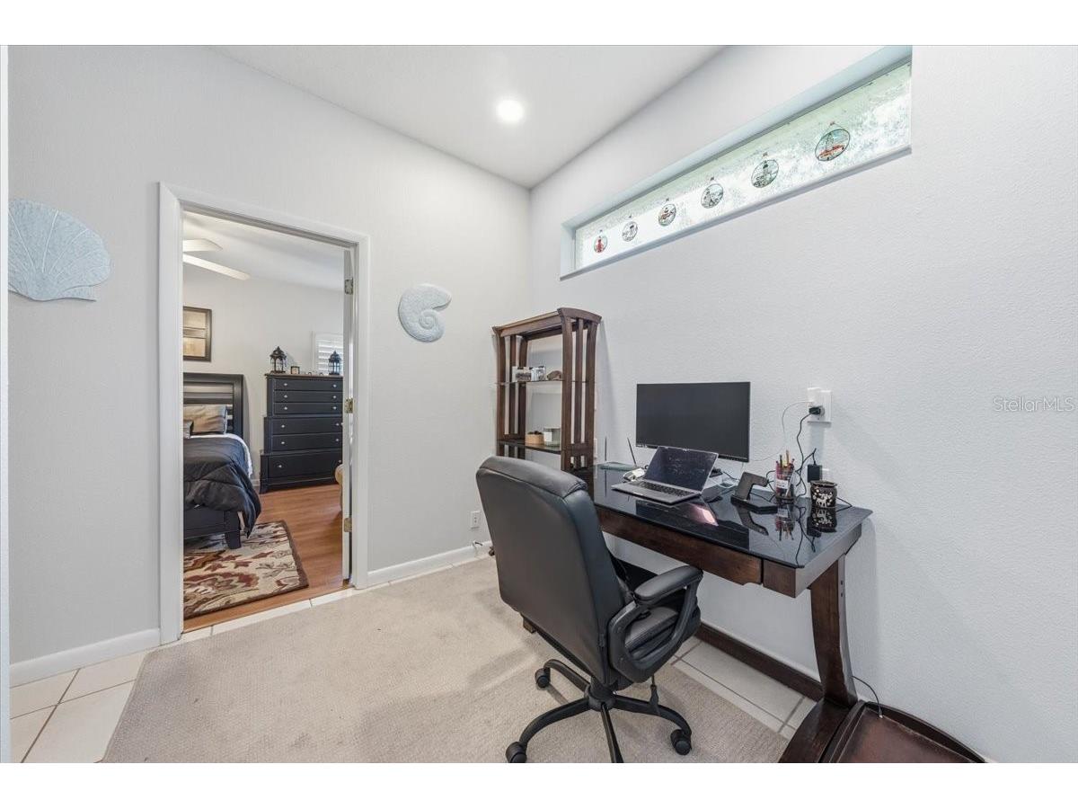 4941 Felecity Way Palm Harbor FL 34685 TB8514728 image56