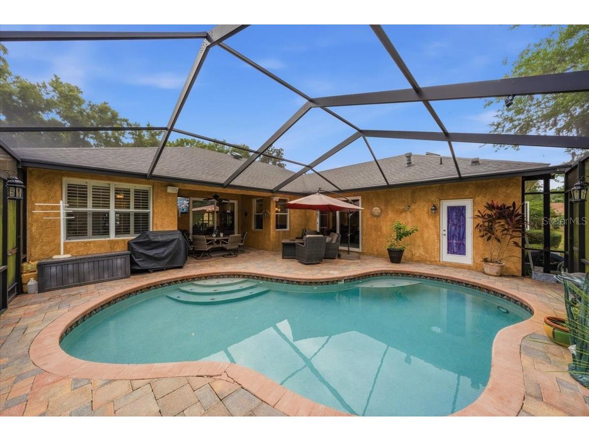 4941 Felecity Way Palm Harbor FL 34685 TB8514728 image60