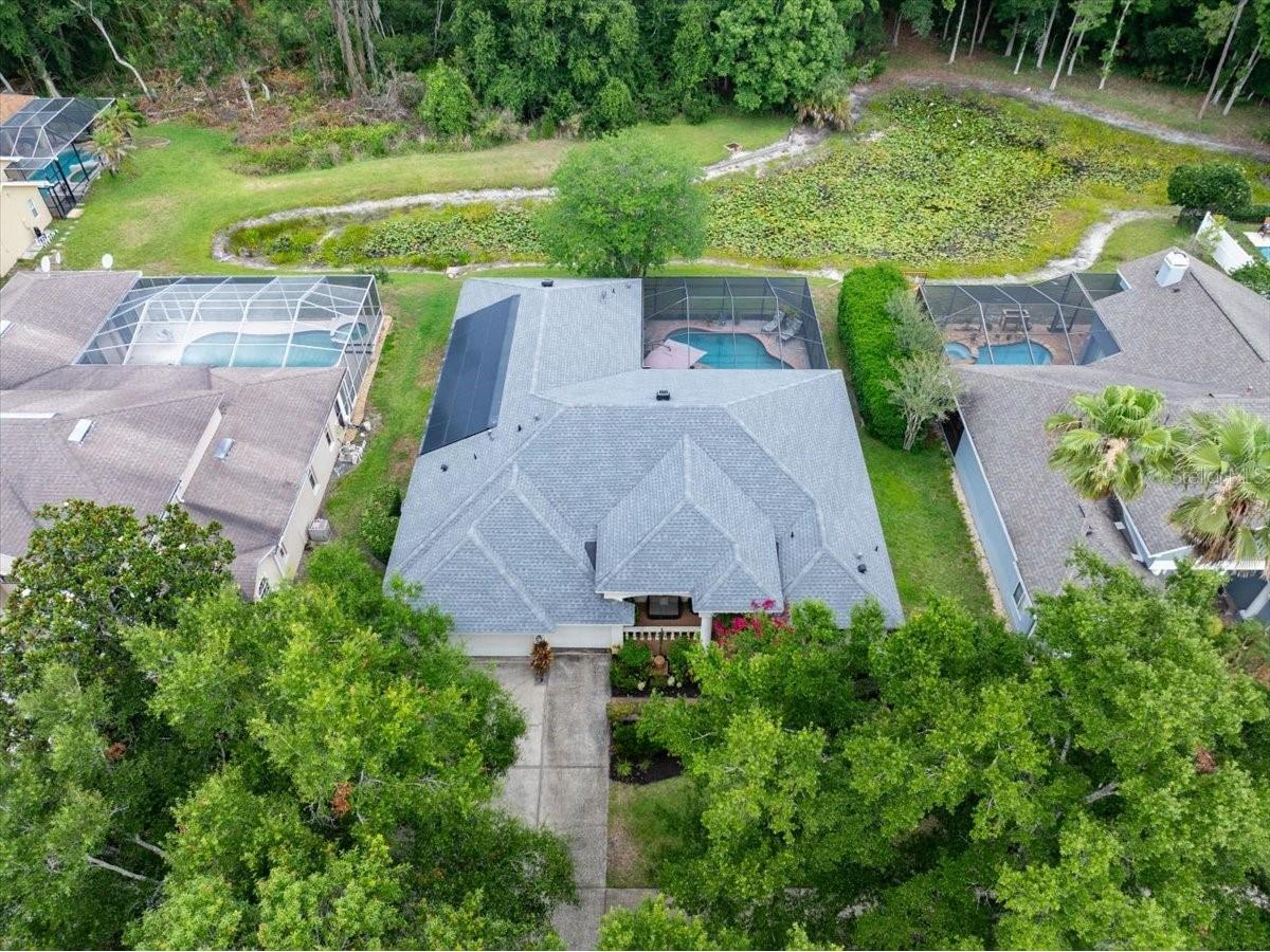 4941 Felecity Way Palm Harbor FL 34685 TB8514728 image63