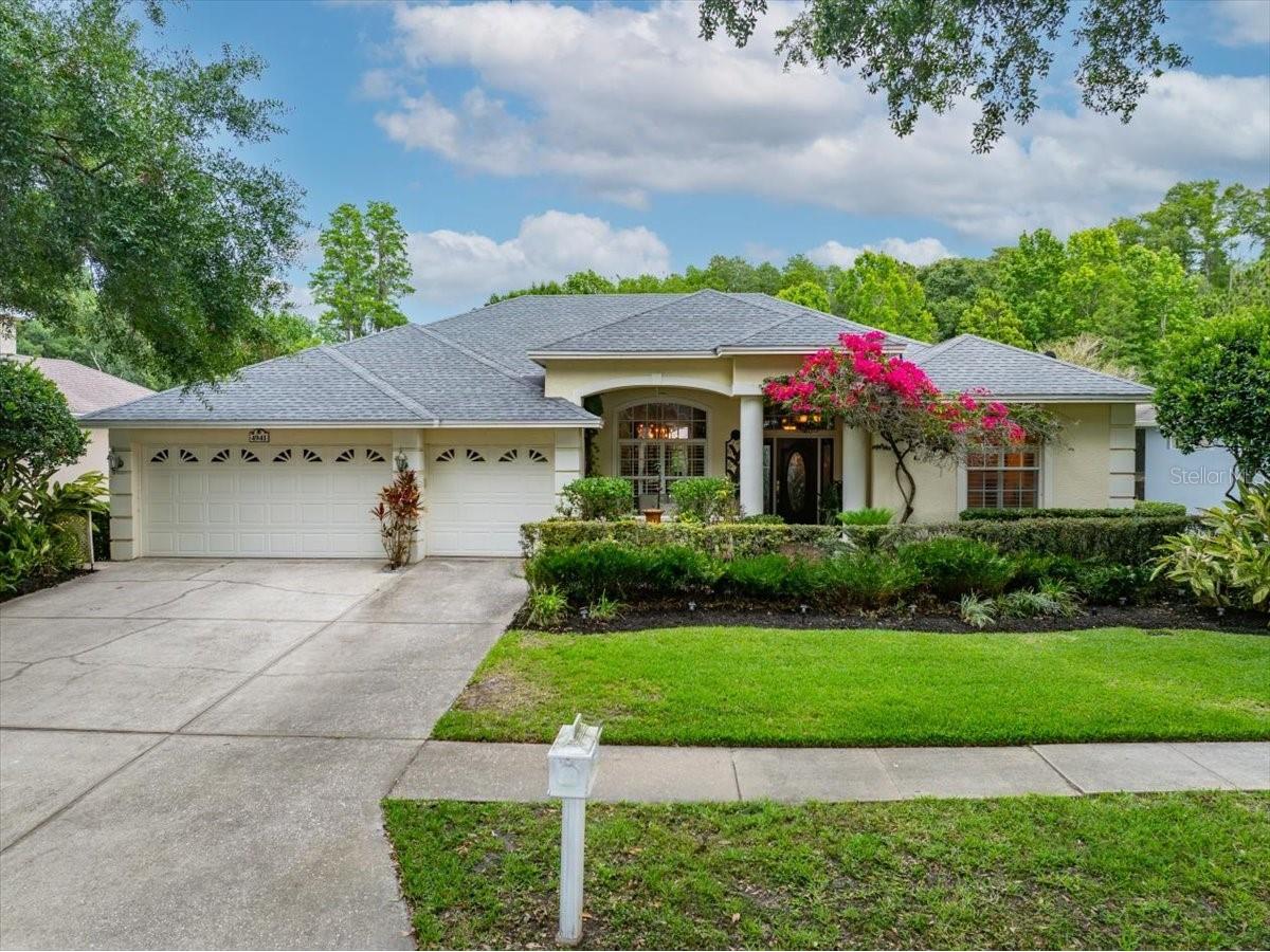 4941 Felecity Way Palm Harbor FL 34685 TB8514728 image65