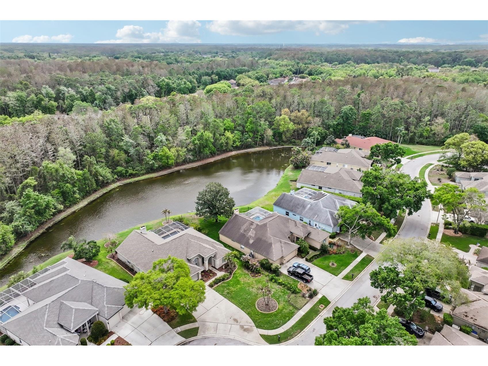 4941 Kylemore Court Palm Harbor FL 34685 TB8488105 image64