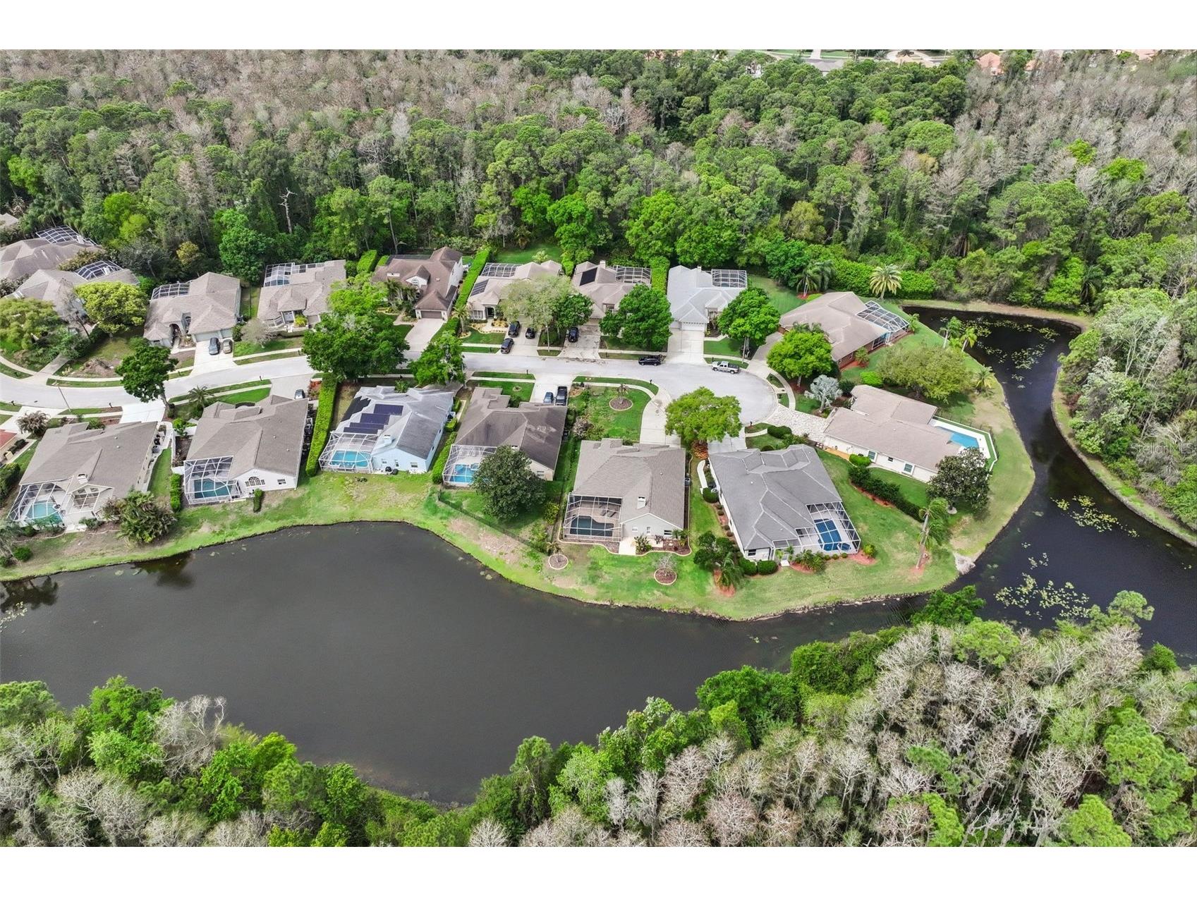 4941 Kylemore Court Palm Harbor FL 34685 TB8488105 image67
