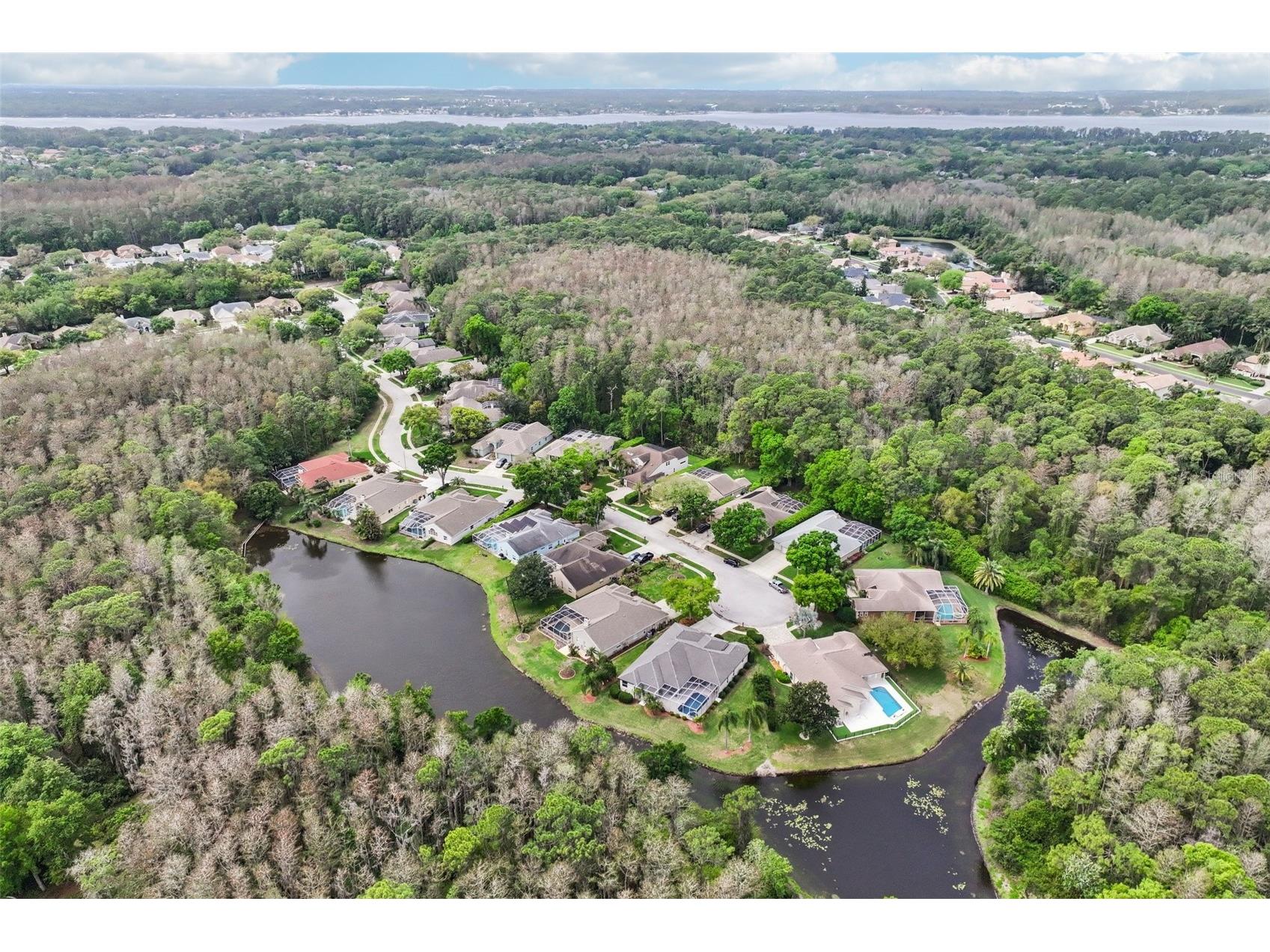 4941 Kylemore Court Palm Harbor FL 34685 TB8488105 image68