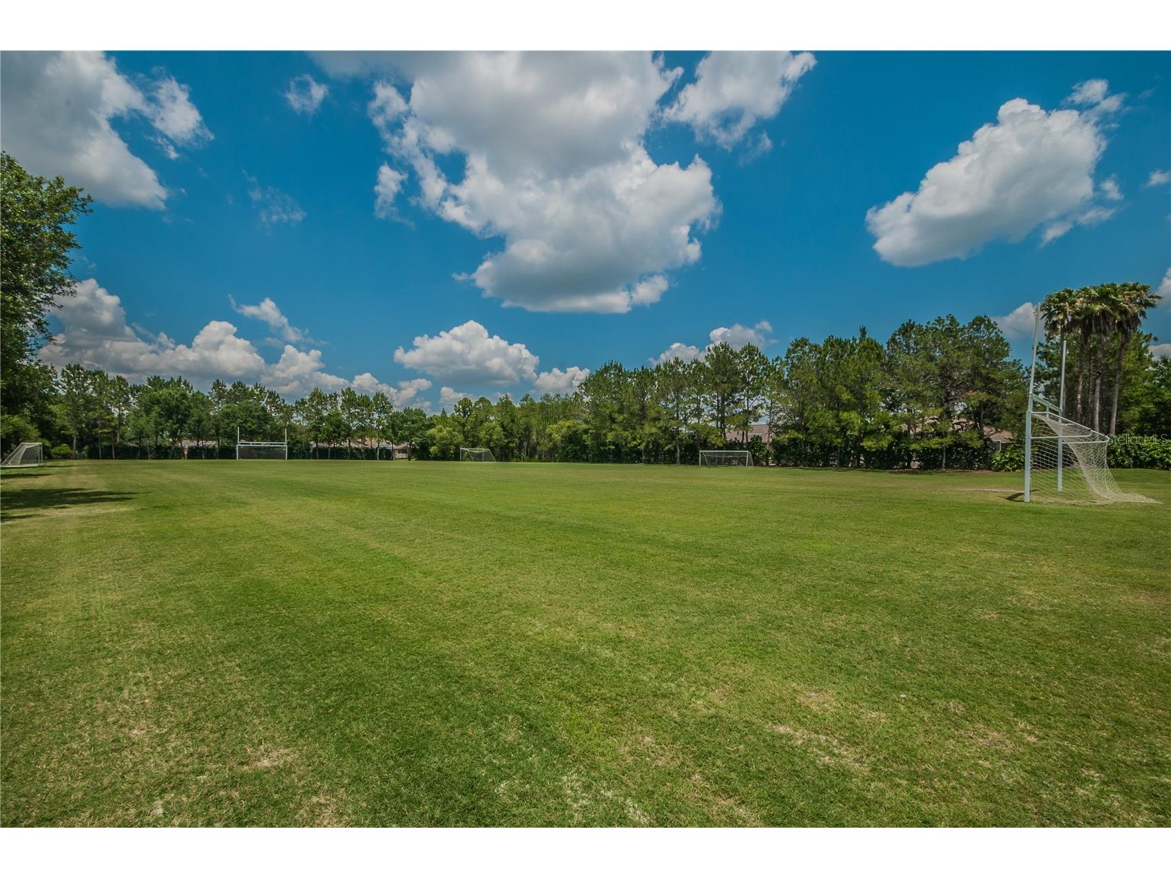 4941 Kylemore Court Palm Harbor FL 34685 TB8488105 image79