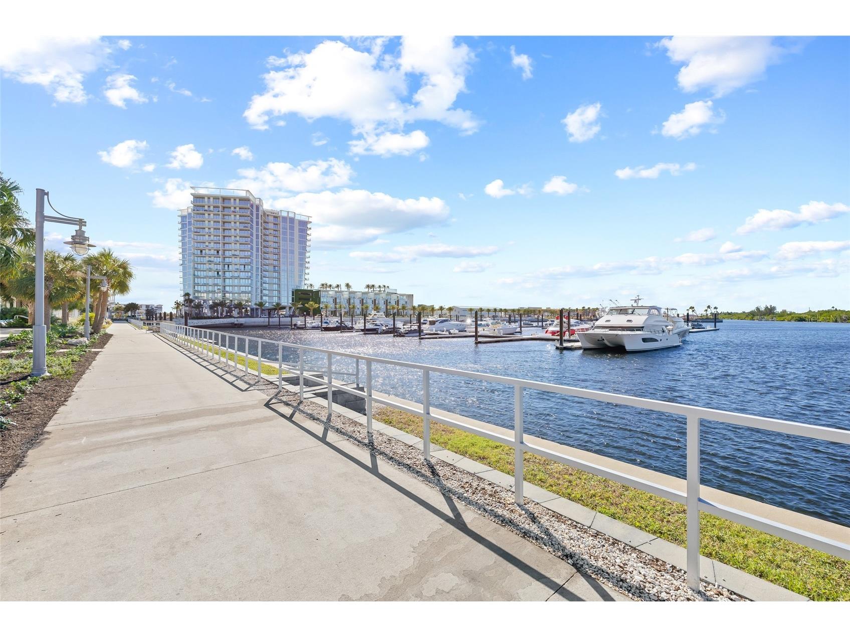 4941 W Price Avenue #7 Tampa FL 33611 TB8516283 image33
