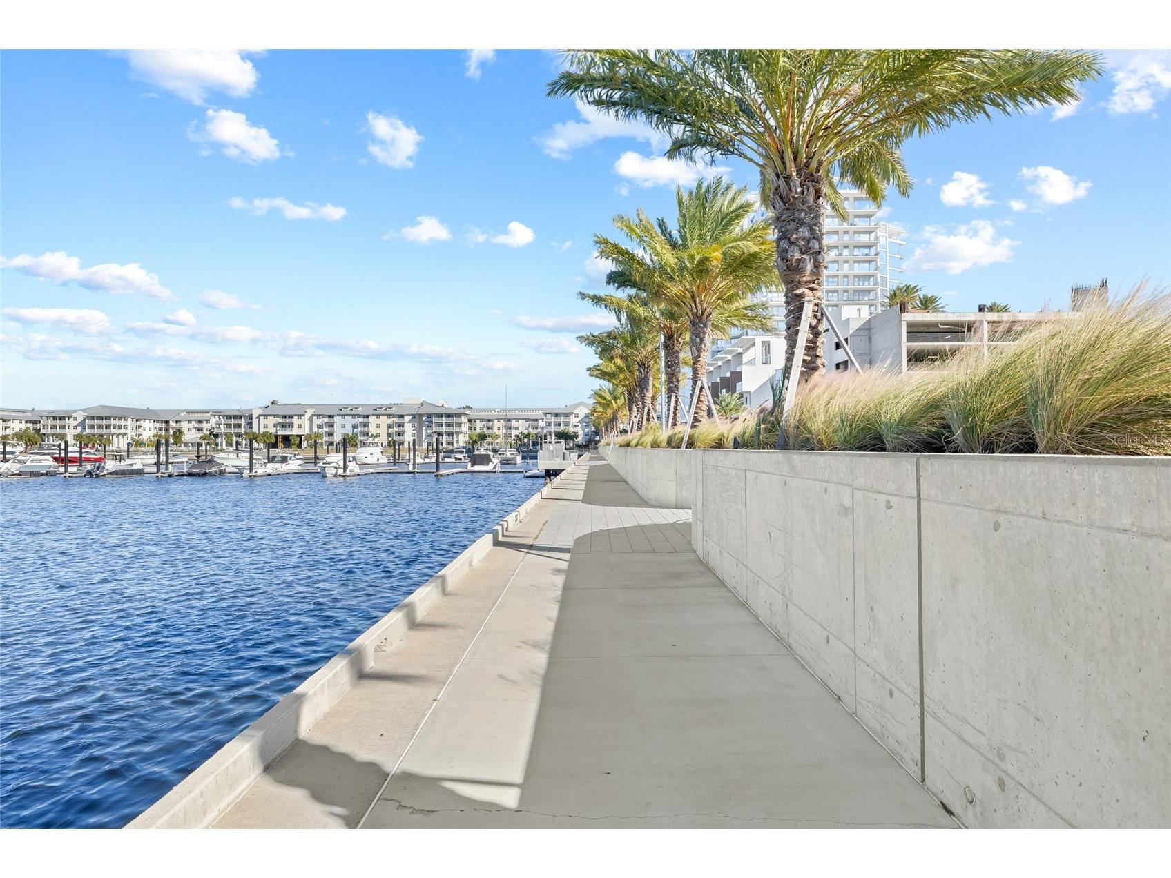 4941 W Price Avenue #7 Tampa FL 33611 TB8516283 image34