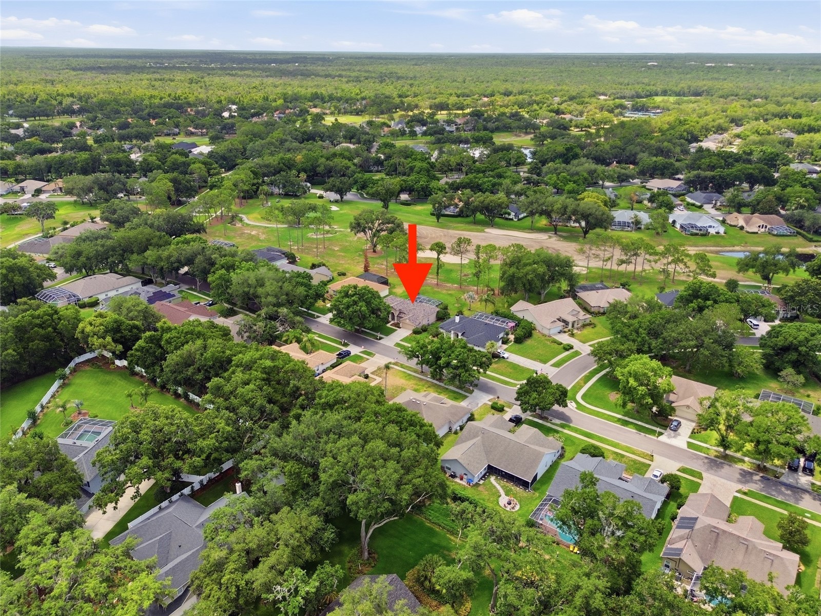 4941 Willow Ridge Terrace Valrico FL 33596 O6411963 image41