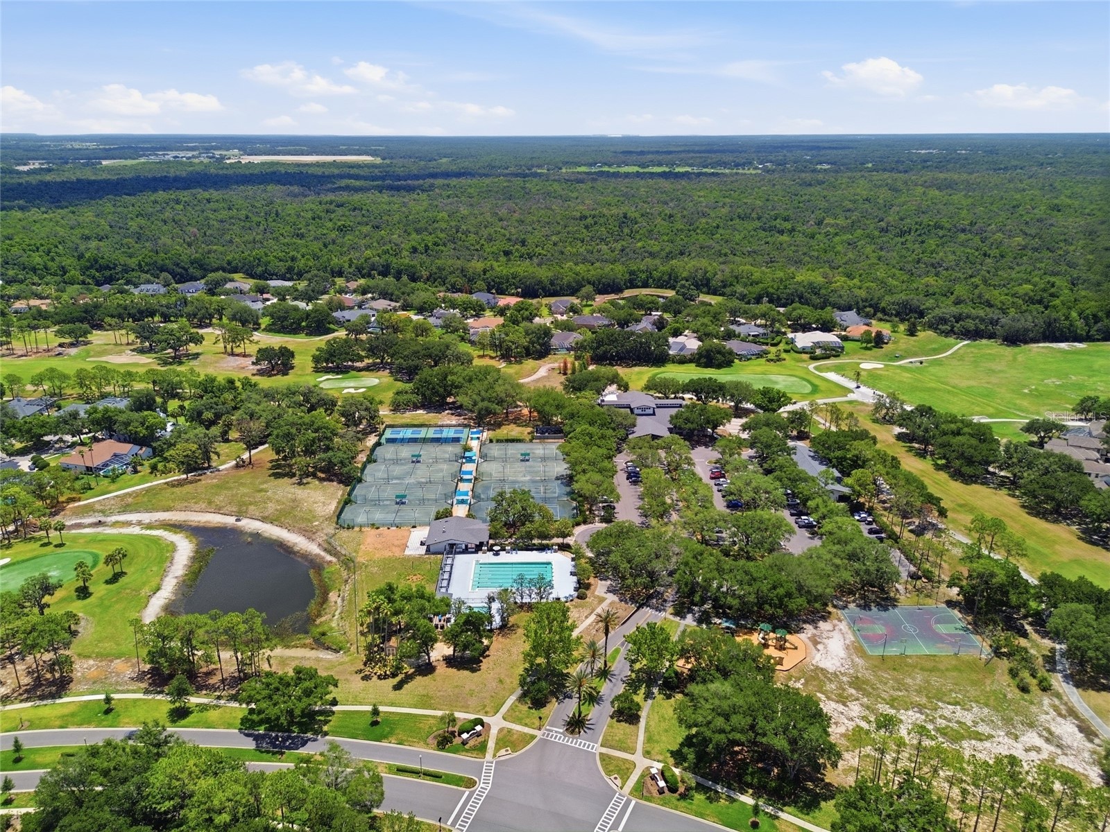 4941 Willow Ridge Terrace Valrico FL 33596 O6411963 image50