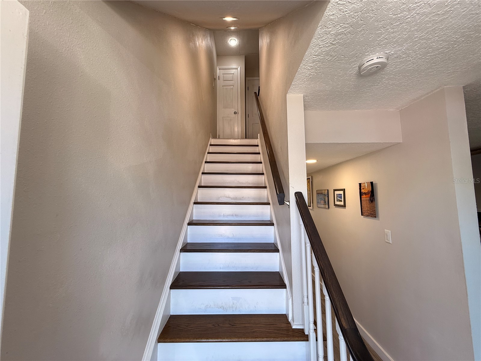 4942 Coquina Key Drive SE Saint Petersburg FL 33705 TB8499061 image9