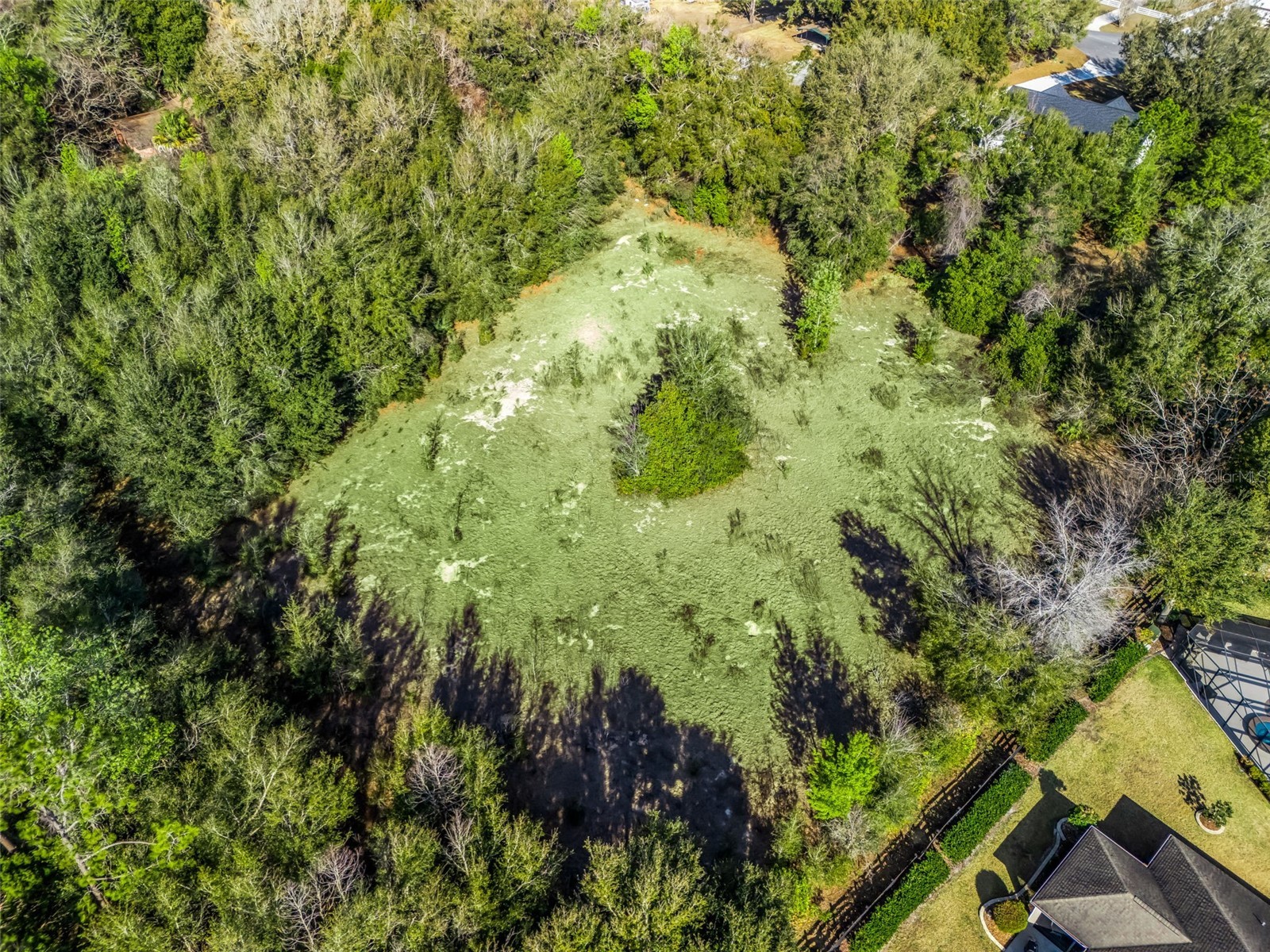 4942 E County Road 462 Wildwood FL 34785 G5108536 image9