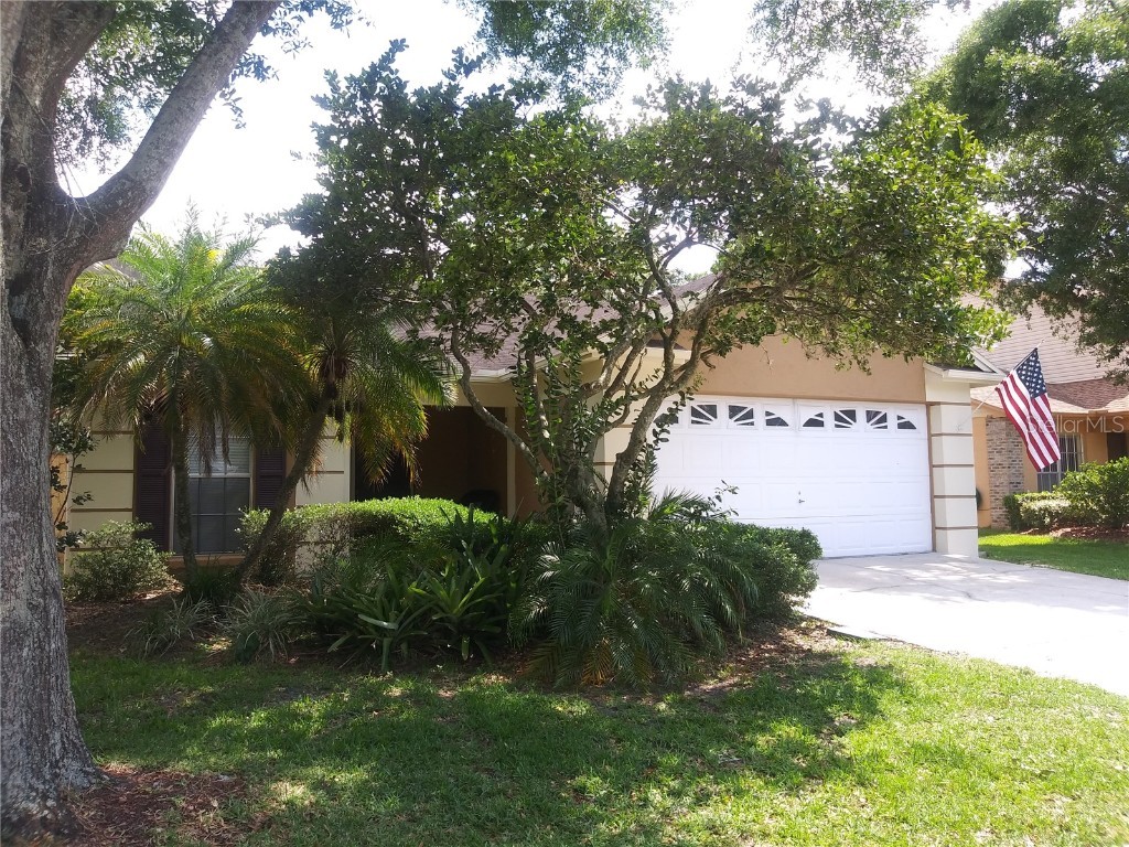 4945 Cypress Trace Drive Tampa FL 33624 T3418461 image1