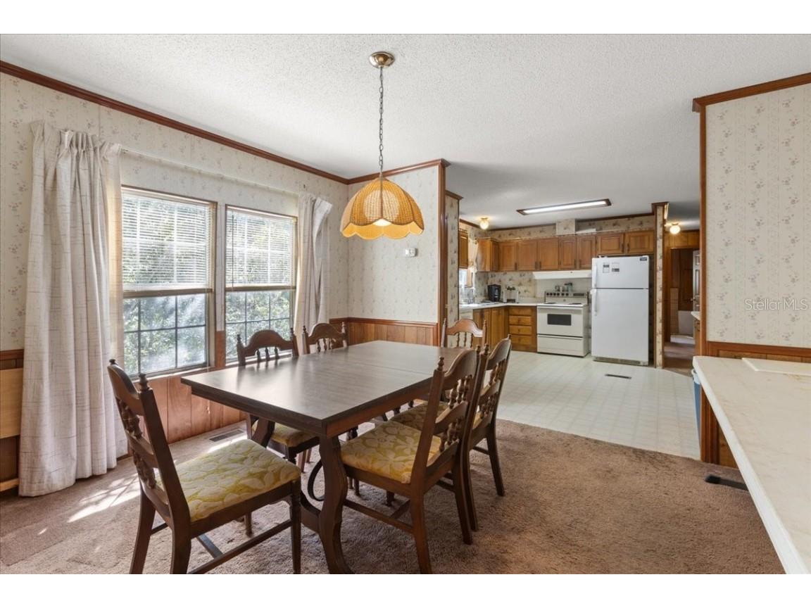 4945 SW 358 Highway Steinhatchee FL 32359 W7879435 image10