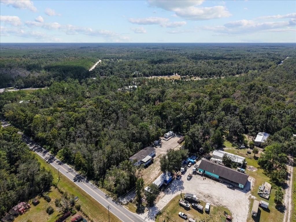 4945 SW 358 Highway Steinhatchee FL 32359 W7879435 image32