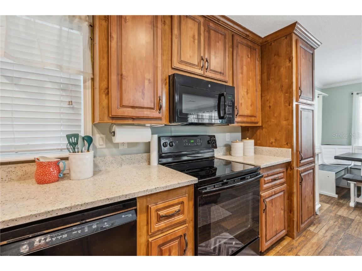 4946 Blanco Drive Zephyrhills FL 33541 TB8354201 image17