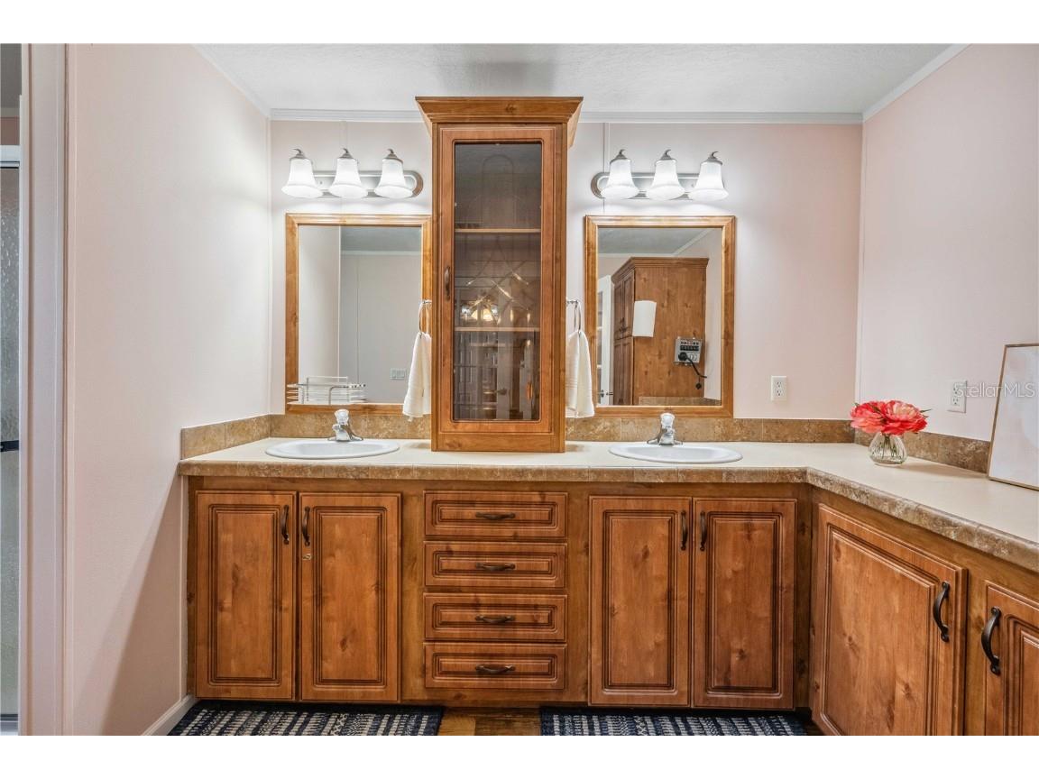 4946 Blanco Drive Zephyrhills FL 33541 TB8354201 image25