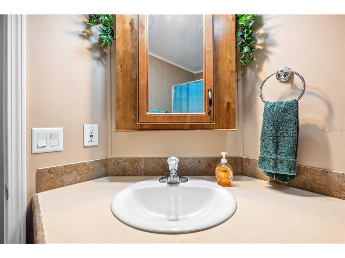 4946 Blanco Drive Zephyrhills FL 33541 TB8354201 image35