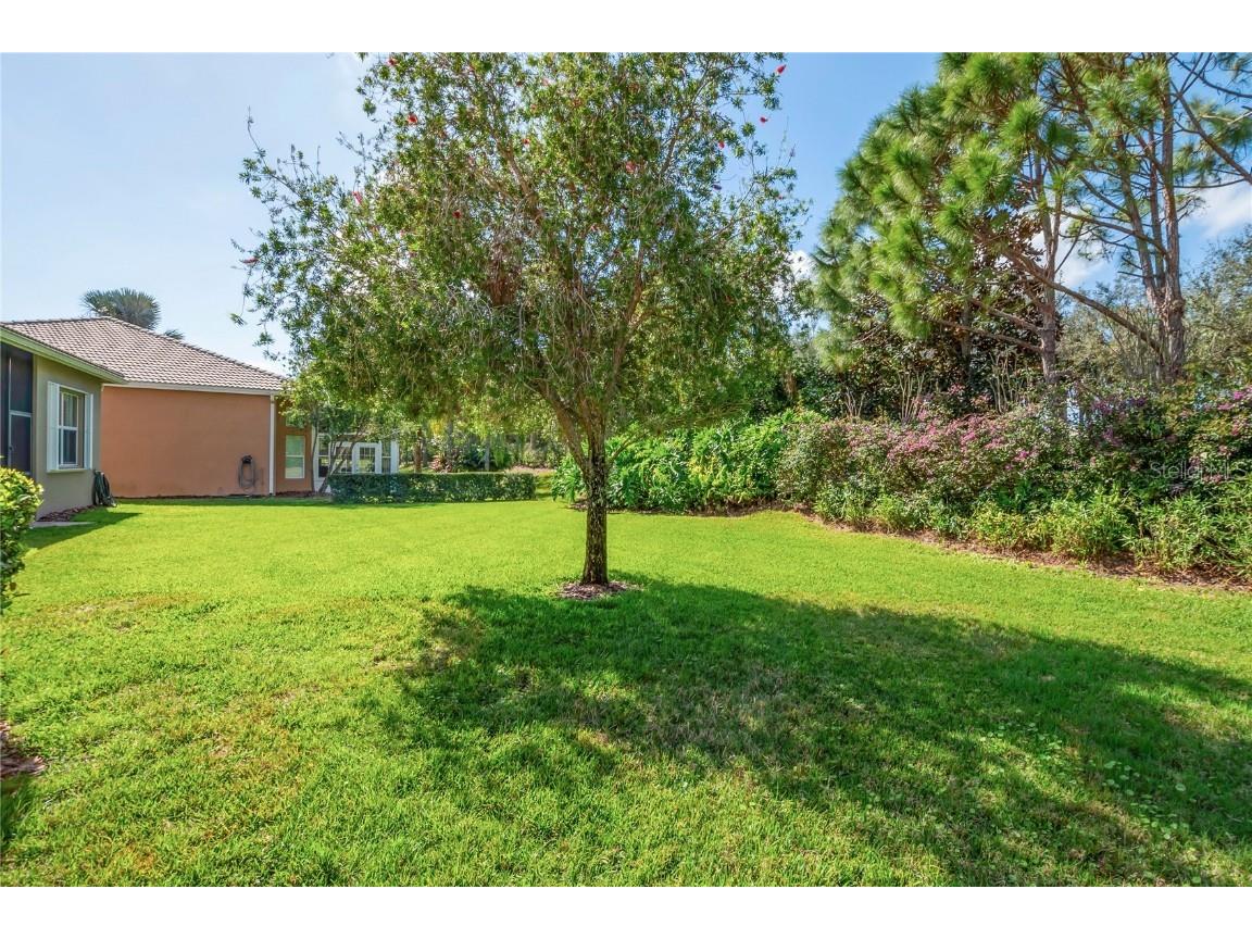 4946 Sapphire Sound Drive Wimauma FL 33598 TB8350046 image32