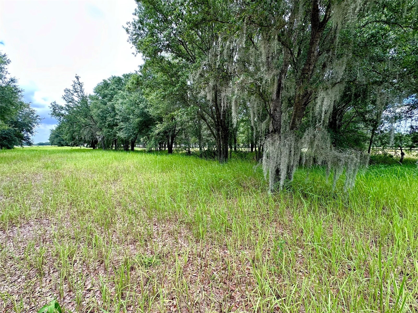4946 Wauchula Rd Wauchula FL 33873 A4695303 image6