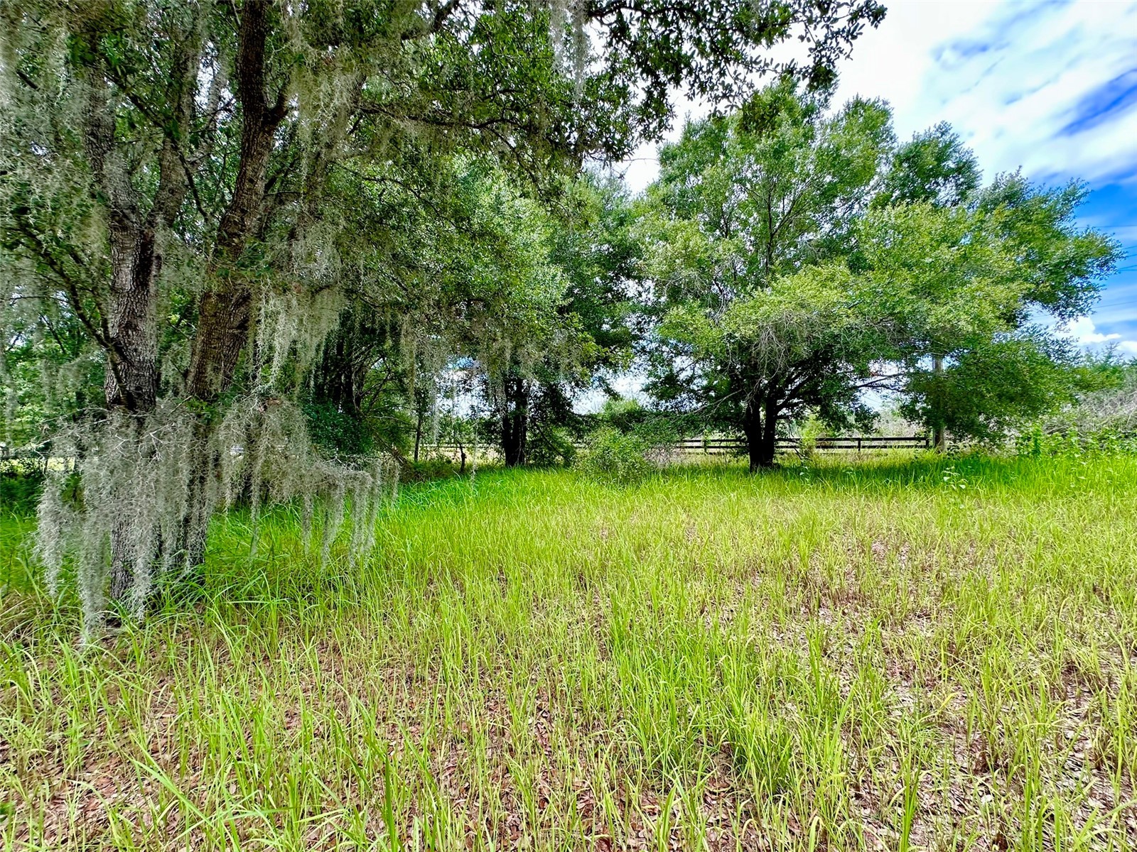 4946 Wauchula Rd Wauchula FL 33873 A4695303 image7