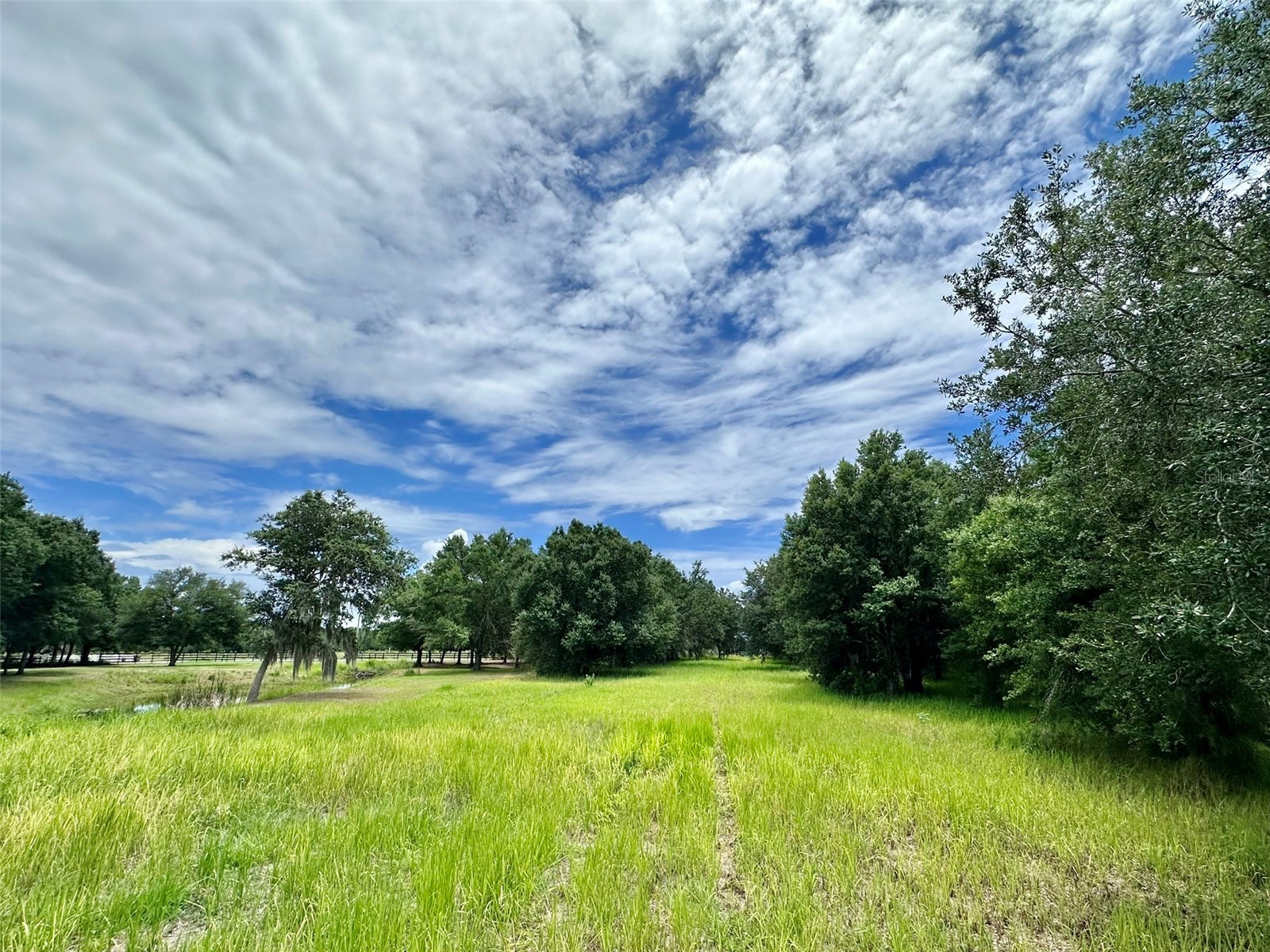 4946 Wauchula Rd Wauchula FL 33873 A4695303 image9