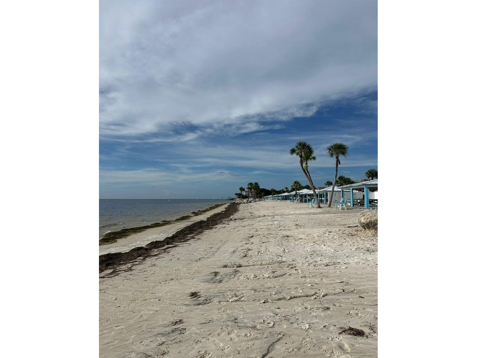 4947 Blue Heron Drive New Port Richey FL 34652 TB8482309 image64