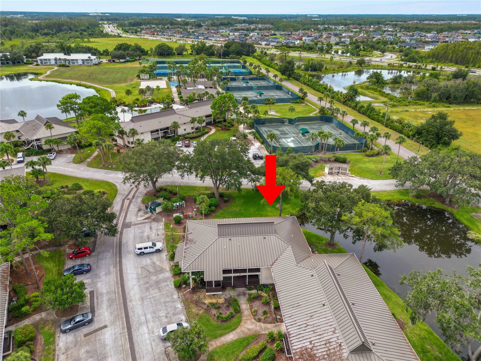 4947 Mill Pond Road #3103 Wesley Chapel FL 33543 TB8442766 image1